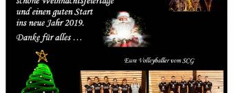 Volleyballer wünschen frohe Weihnachten und einen guten Start ins neue Jahr !!
