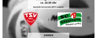 Volleyball Vorschau 1. Spieltag